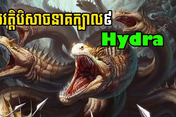 Kraken ссылка kraken014 com