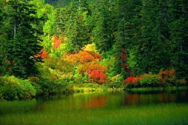 Кракен современный даркнет