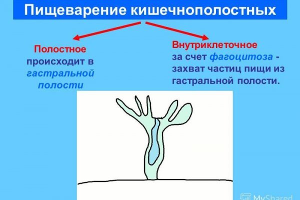 Ссылка на кракен 2024