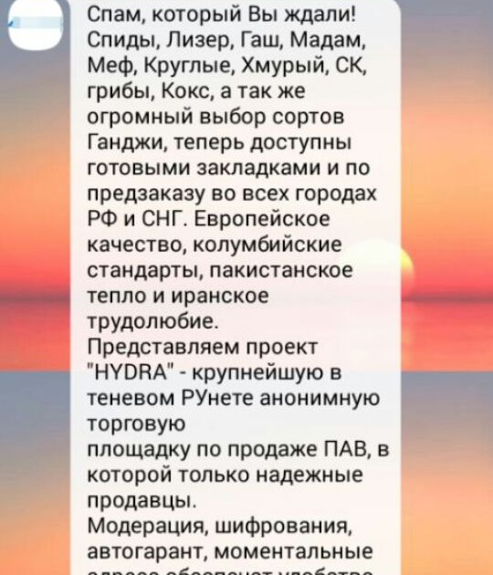 Кракен картель