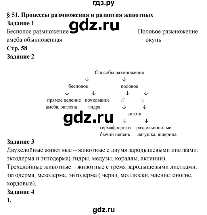 Kra22gl