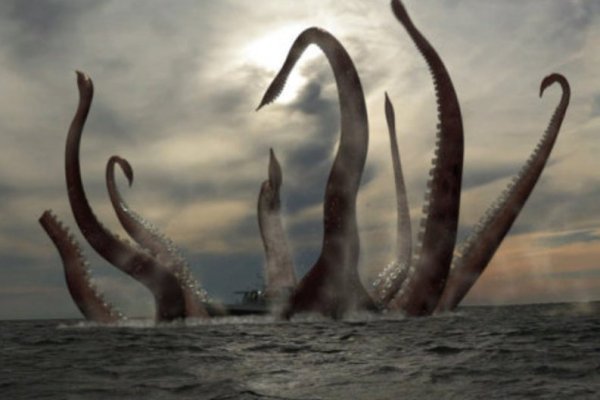 Kraken 7 org